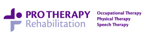 Pro Therapy Rehabilitation